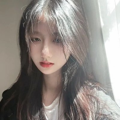 斑马头